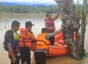 Kapolsek Bayang Pimpin Evakuasi Warga Terjebak Banjir di Nagari Gurun Panjang Barat
