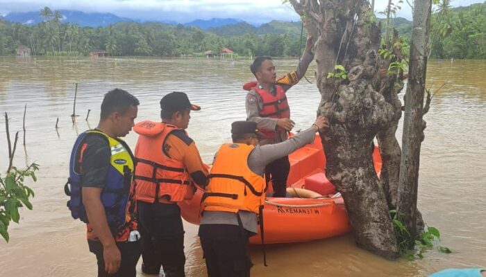 Kapolsek Bayang Pimpin Evakuasi Warga Terjebak Banjir di Nagari Gurun Panjang Barat