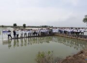  Tanam 10.180 Mangrove, Telin Wujudkan Komitmen Keberlanjutan BATIC 2025