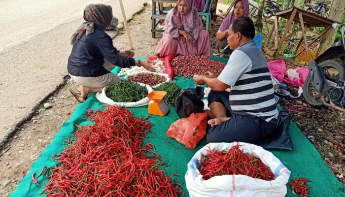 Harga Cabai di Pasar Gunung Medan Dharmasraya Melambung