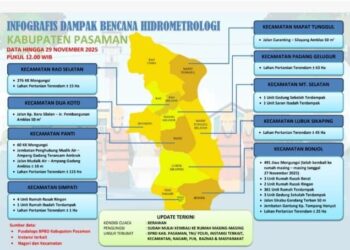 Ribuan Warga Terdampak dan Puluhan Hektare Lahan Pertanian Terendam Akibat Bencana di Pasaman