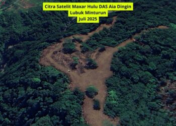 Bukti Satelit Tak Terbantahkan: Pembalakan di Bukit Barisan Jadi Biang Galodo