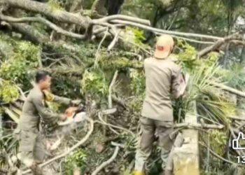 Hujan Lebat Disertai Angin Kencang, Warga Padang Diminta Waspada