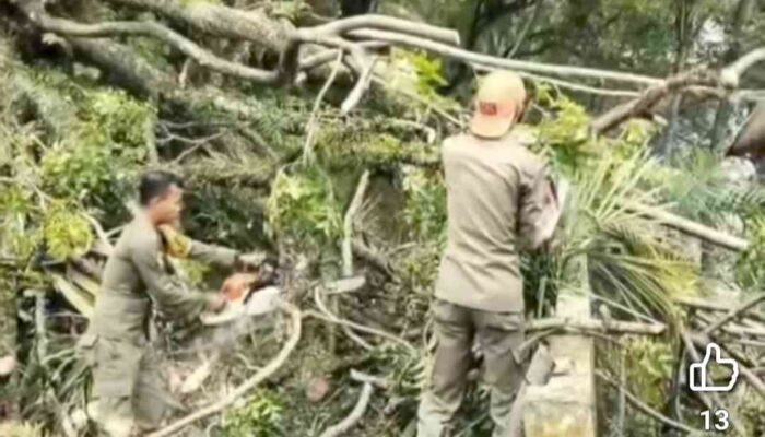 Hujan Lebat Disertai Angin Kencang, Warga Padang Diminta Waspada