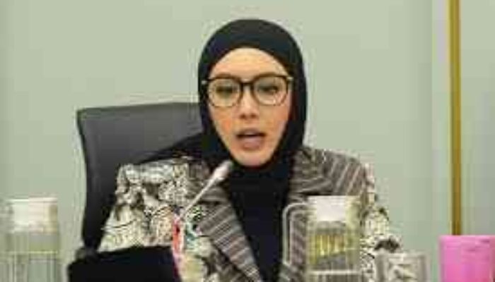 Cindy Monica Usulkan Gambir Masuk RUU Komoditas Strategis