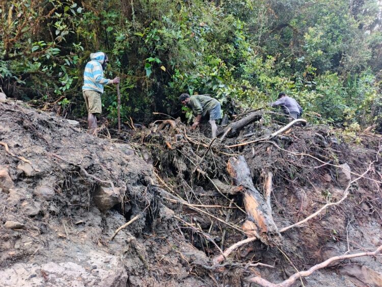 Petugas dibantu warga melakukan pencarian korban hilang akibat banjir di Kabupaten Nduga, Papua Pegunungan pada Sabtu (1/11).