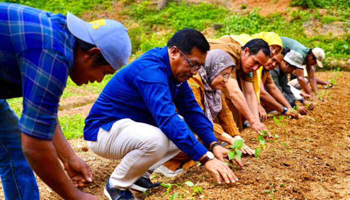 Perkuat Ketahanan Pangan, PTBA Bagikan 3.500 Bibit Cabai untuk Kelompok Tani di Sawahlunto