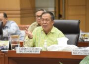 Komisi VII DPR Dorong Payung Hukum Penanggulangan Bencana