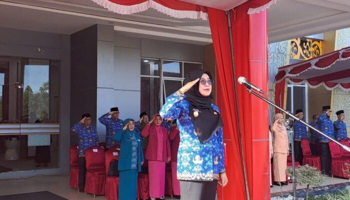 Upacara Hari Korpri ke-54 di Dharmasraya Berlangsung Khidmat, Wakil Bupati Serahkan Penghargaan kepada ASN Berprestasi