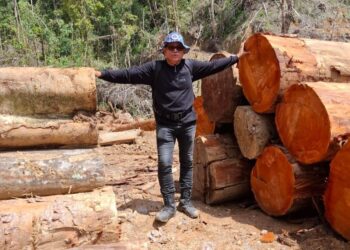 Sosok Pengusaha yang Laporkan Anggota DPRD Pessel Novermal Jadi Tersangka Pembalakan