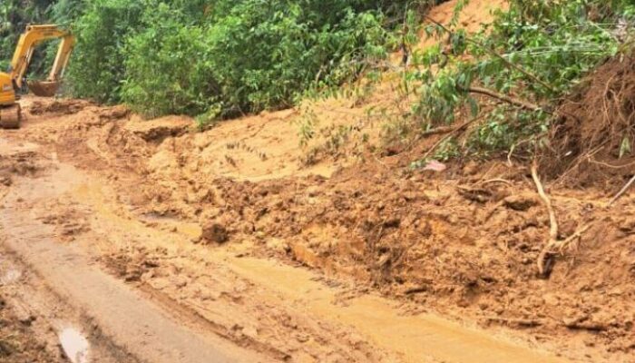 Jalan Bancah Laweh di Kecamatan Simpati Ditutup Sementara, BPBD Imbau Warga Cari Jalur Alternatif