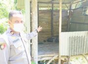 Sesosok Mayat Ditemukan di Pondok Ladang Aia Jambak, Polisi Minta Warga Lapor Jika Kehilangan Keluarga