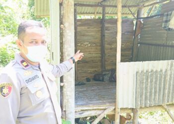 Sesosok Mayat Ditemukan di Pondok Ladang Aia Jambak, Polisi Minta Warga Lapor Jika Kehilangan Keluarga