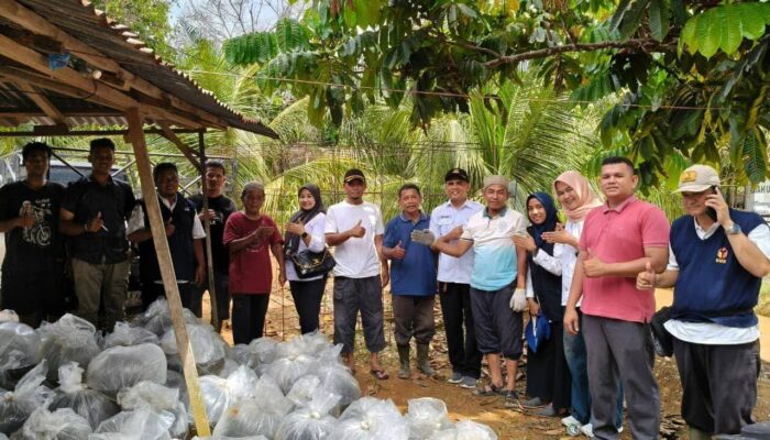 Bantuan untuk Kelompok Budidaya Ikan Diserahkan, Dukung Kemandirian Pangan Dharmasraya