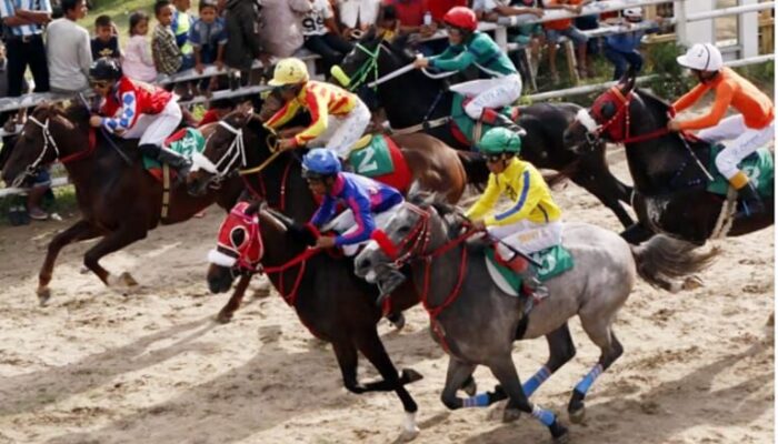 Besok, Puluhan Kuda Pacu Bakal Ikuti Bank Nagari Sawahlunto Derby, Hasil Penjualan Tiket Jadi Donasi untuk Korban Bencana Sumbar