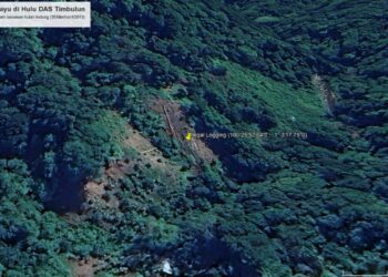 Hulu DAS Timbulun Dibabat, WALHI Sumbar Peringatkan Bungus Diintai Galodo