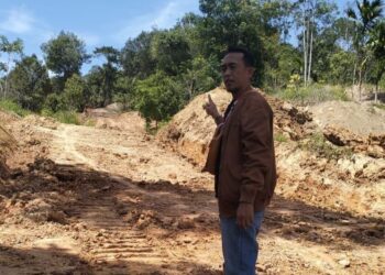 Tiga Organisasi Lingkungan Soroti Dugaan Tambang Batu Bara Ilegal di Pesisir Selatan