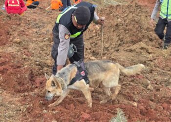 Situasi Terkini di Posko DVI Polda Sumbar, 228 Korban Tewas, Proses Identifikasi Berlanjut
