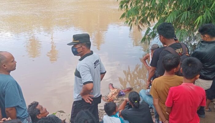 Tujuh Hari Dicari, Isil Akhirnya Ditemukan Tak Bernyawa: Duka Menyelimuti Kampung Langgai