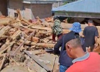 Kayu Gelondongan Berserakan di Pancuang Taba, Novermal Serukan Stop Pembalakan Liar di Bayang Utara