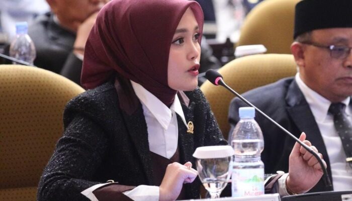 Ancam Kecepatan Pemulihan Sumatra Pasca Bencana, Cerrint Irraloza Tasya Minta Pemangkasan TKD Dibatalkan 