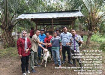 16 KUB Terima Bantuan Peternakan Senilai Rp 1,38 Miliar dari Pemkab Dharmasraya