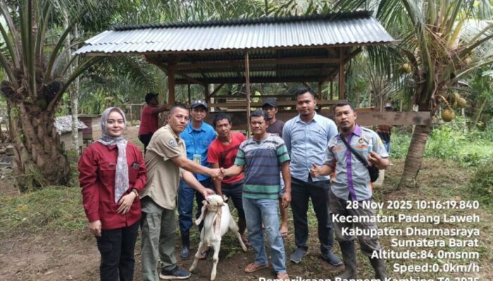 16 KUB Terima Bantuan Peternakan Senilai Rp 1,38 Miliar dari Pemkab Dharmasraya