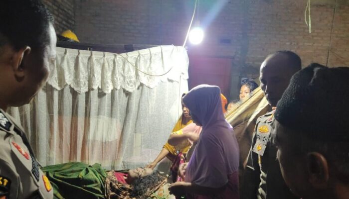 Ibu 65 Tahun di Koto XI Tarusan Tewas Terseret Arus Sungai saat Menyeberang Bawa Sapi