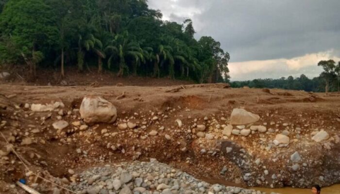 Terisolasi Pasca Galodo, 14 KK Padang Landua Hanya Bertumpu pada Jembatan Pohon