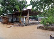 Perkembangan Situasi dan Penanganan Bencana di Tanah Air 17 Desember 2025