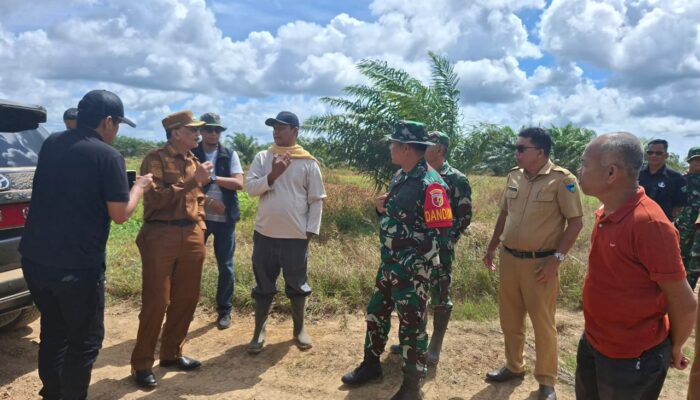 Bupati Hendrajoni dan Dandim Tinjau Lokasi Rencana Pembangunan Yonif TP di Pessel