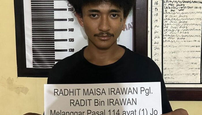 Polres Dharmasraya Bongkar Peredaran Narkoba, Pemuda Simpan Paket Besar Ganja