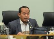 Kemenhut Diberi Tenggat 30 Hari Bongkar Pelaku Illegal Logging