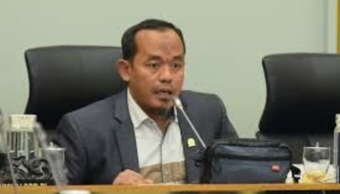 Kemenhut Diberi Tenggat 30 Hari Bongkar Pelaku Illegal Logging