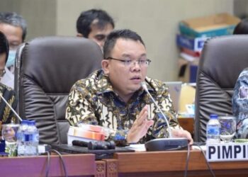 Anggota DPR RI Saleh Partaonan Daulay. IST