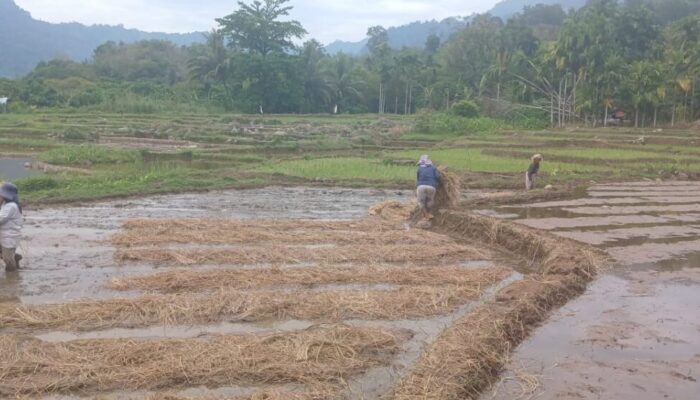 Negara Dinilai Abai Lindungi DAS Timbulun, 26.503 Warga Bungus Teluk Kabung Terancam Jadi Korban Bencana