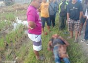 Kecelakaan Tunggal di Koto XI Tarusan Pessel, Pengendara Motor Tewas Usai Terjatuh