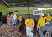 BRI Peduli Latih TPS3R di Bali Diversifikasi Produk Kompos, Dorong Ekonomi Sirkular