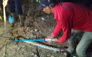 Ular Piton Mangsa Ayam Warga di Ranah Pesisir, Damkar Balai Selasa Bergerak Cepat