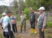 Rencana Pembangunan Huntap di Pauh Terus Dimatangkan