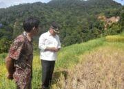 Bupati Agam Tinjau Sumber Banjir Bandang di Kelok 28