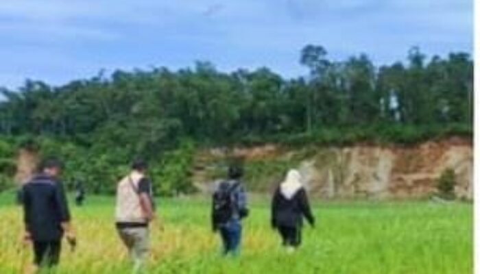 Bukittinggi Press Club Telusuri Titik Longsor Tebing Ngarai Sianok