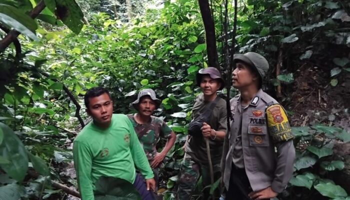Petani Tigo Lurah Solok Hilang Saat Mencari Durian