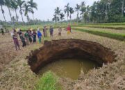 Warga Situjuah Batua Dikagetkan dengan Fenomena Lubang Besar yang Muncul di Tengah Sawah