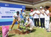 Hijaukan Lingkungan, BRI Region  3 Padang Tanam Ratusan Pohon Buah