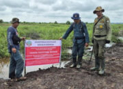 Penertiban Tambang dan Sawit Ilegal Diproyeksikan Tambah Rp142 T Penerimaan Negara