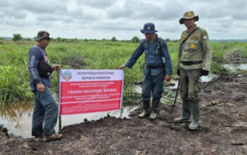 Penertiban Tambang dan Sawit Ilegal Diproyeksikan Tambah Rp142 T Penerimaan Negara