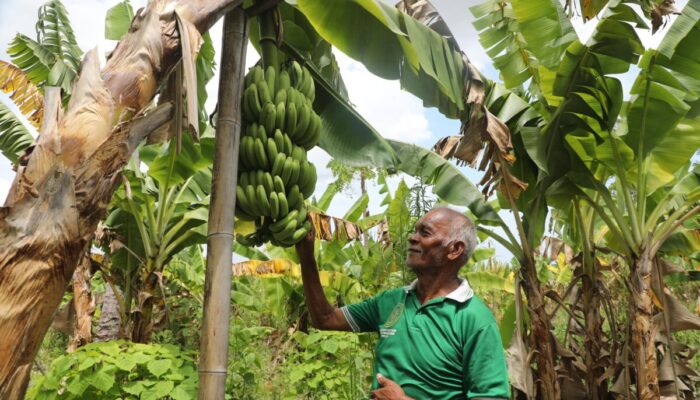 Reforma Agraria ubah Pola Pikir Warga Desa Baumata Kabupaten Kupang