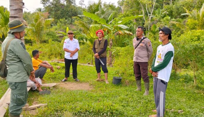 Harimau Terkam Sapi di Lubuk Betung Pessel, Warga Dilanda Kecemasan