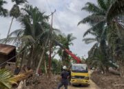 Perkembangan Situasi dan Penanganan Bencana di Indonesia pada 15 Januari 2026